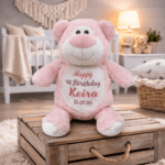 Personalised Embroidered Birthday Cubby Bear - Image 4