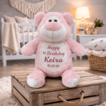 Personalised Embroidered Birthday Cubby Bear - Image 6