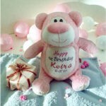 Personalised Embroidered Birthday Cubby Bear - Image 5