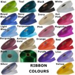 Dirty 30 Bitches Birthday Party Sash - Image 3